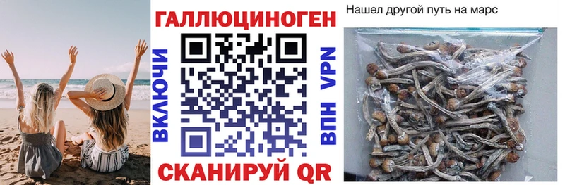 Галлюциногенные грибы мицелий  купить наркотики цена  Александров 